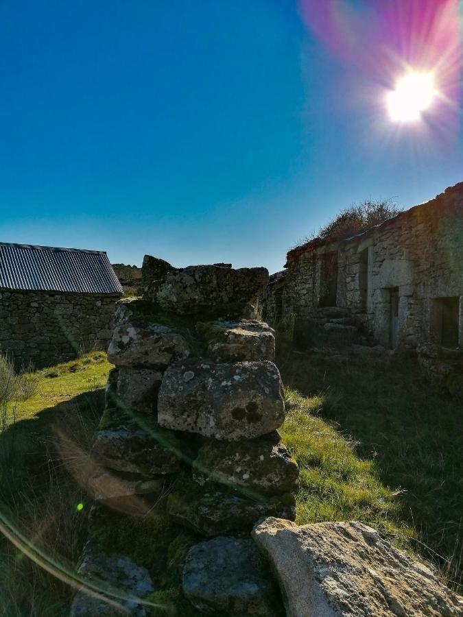 Casa Largo S Lourenco E Casa Da Videira Mazes Экстерьер фото